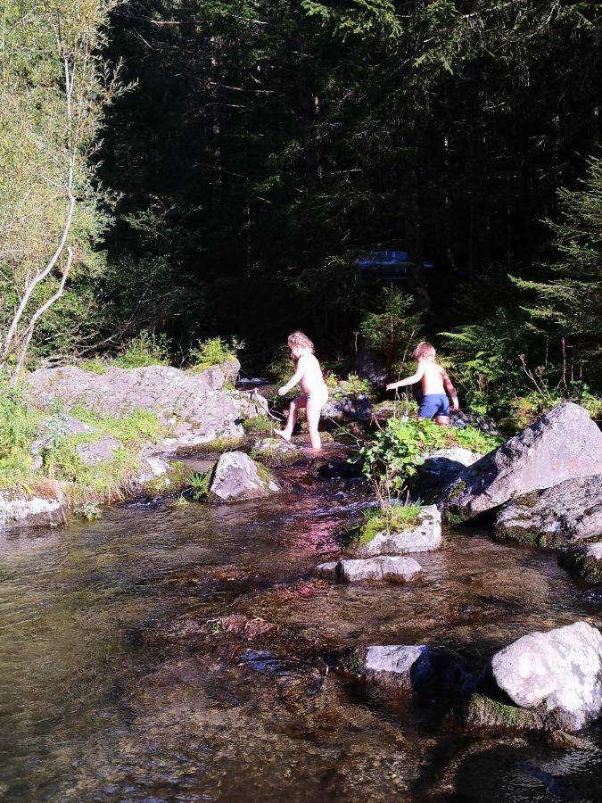 Wieserhof Tirol オエッツ エクステリア 写真
