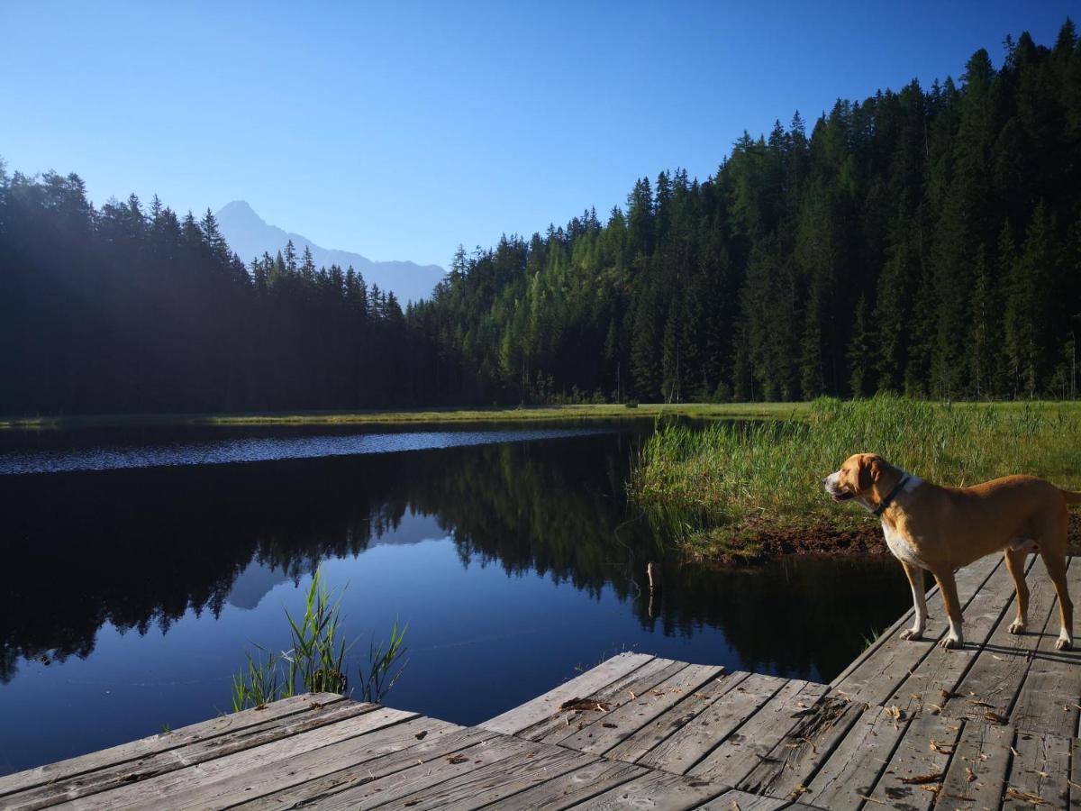 Wieserhof Tirol オエッツ エクステリア 写真