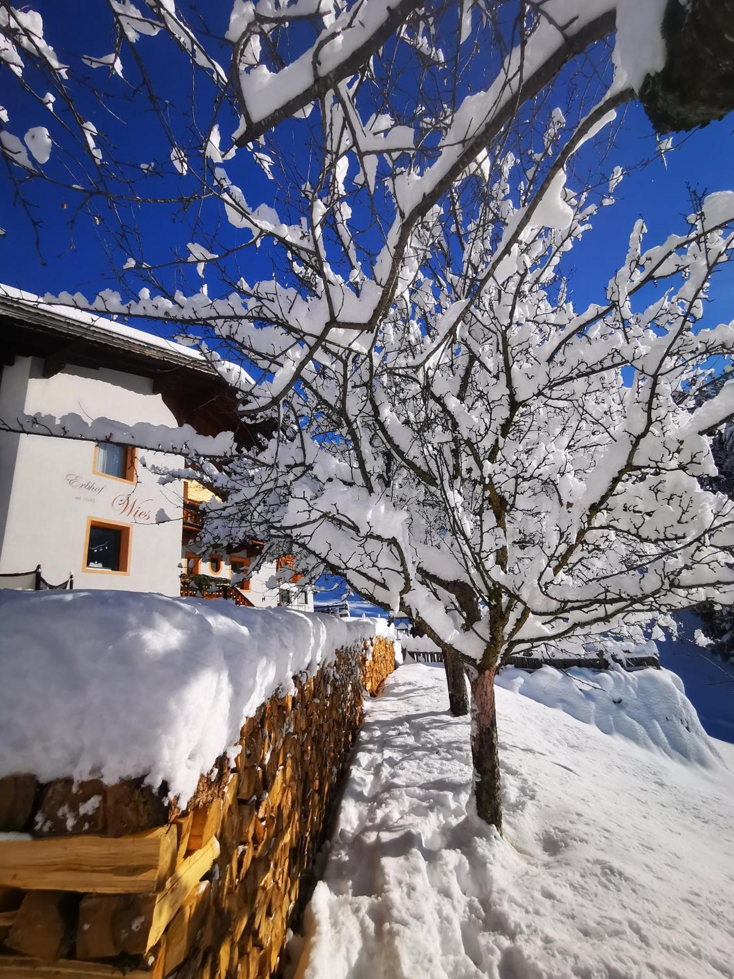 Wieserhof Tirol オエッツ エクステリア 写真