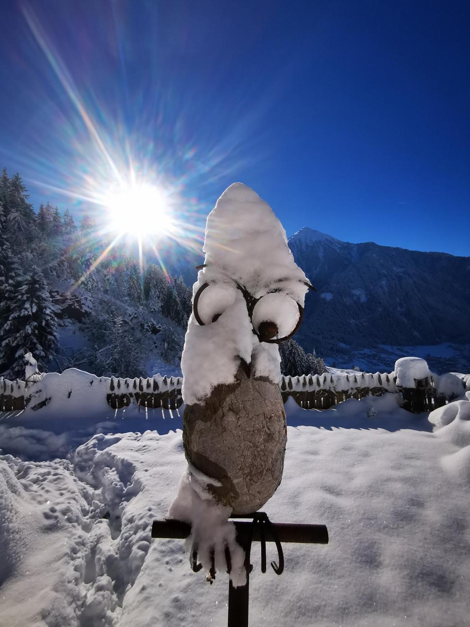 Wieserhof Tirol オエッツ エクステリア 写真